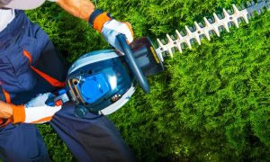 Gardening Maintenance Medway Gravesham Maidstone Kent